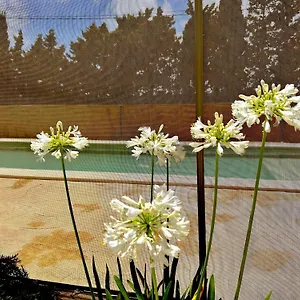 Agradable Con Piscina En La Barrosa Chiclana de la Frontera